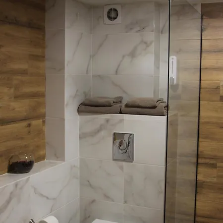 опал Hotel Stryi